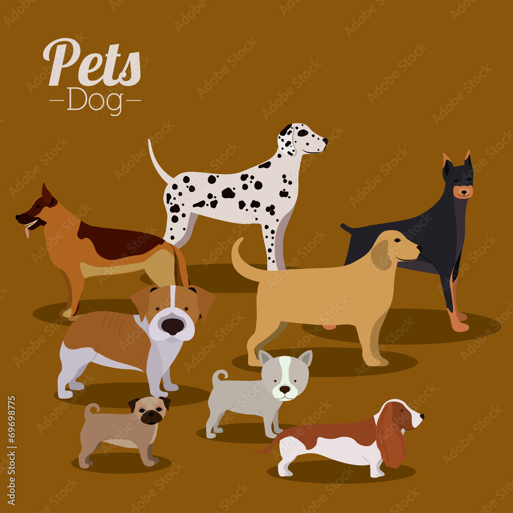 Obraz premium Pets design
