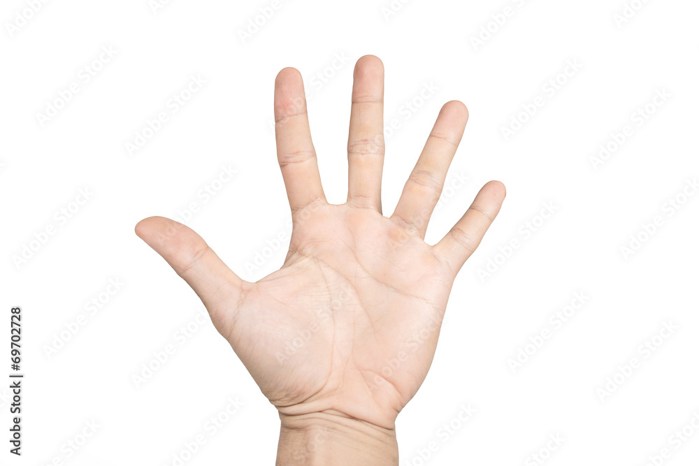 isolated hand shows the number five isolated hand shows the number five