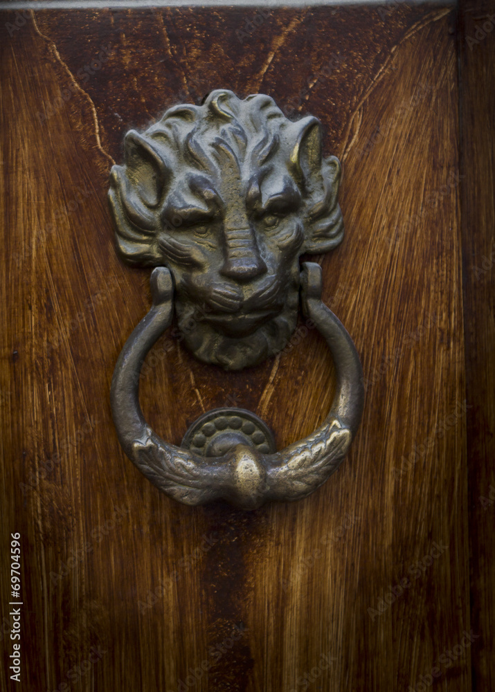 lion door knocking