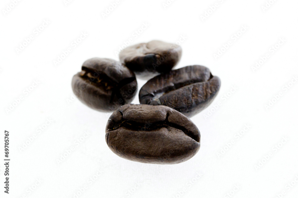 coffee beans isolated coffee beans isolated