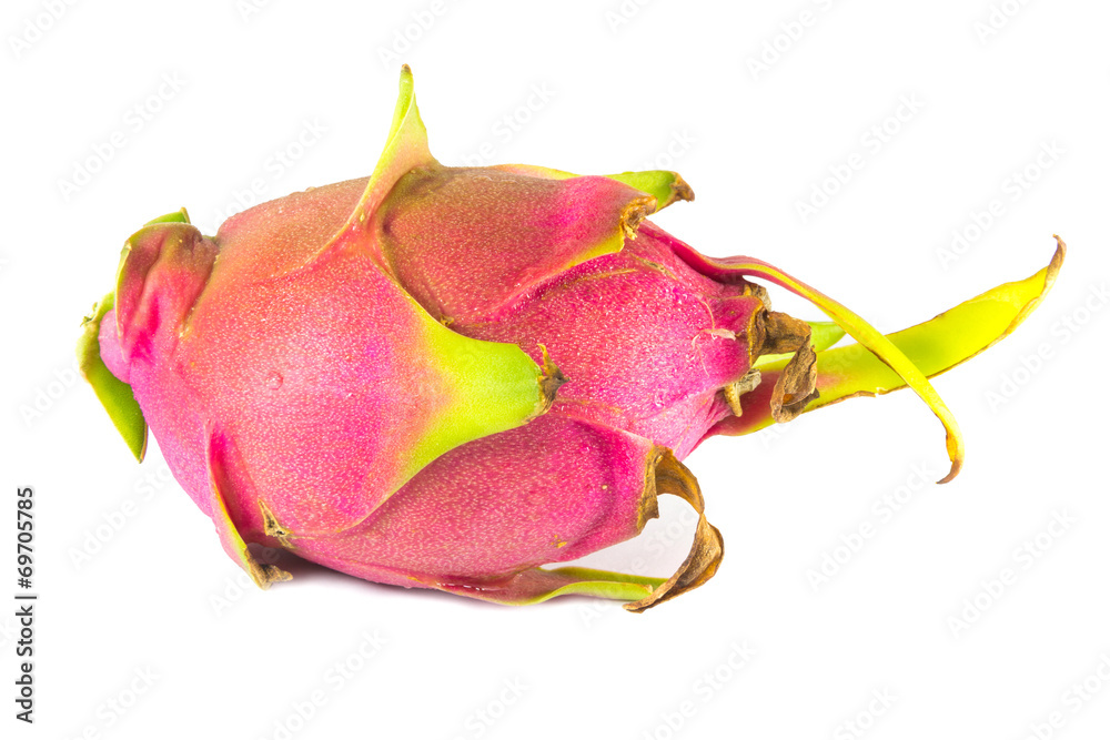 Vibrant Dragon Fruit Vibrant Dragon Fruit