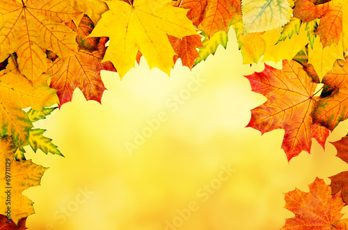 Autumn leaves frame