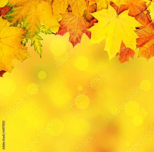 Autumn leaves frame