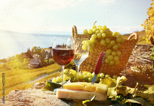 Fototapeta Naklejka Na Ścianę i Meble -  Wine and grapes. Lavaux, Switzerland