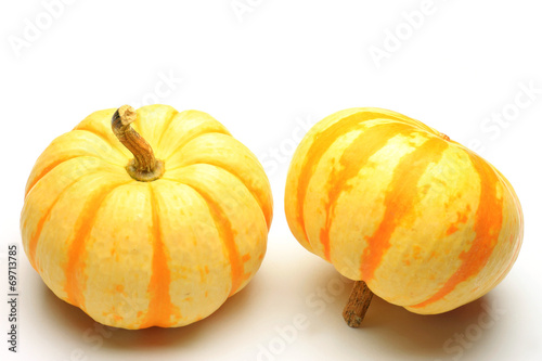 mini-pumpkin photo