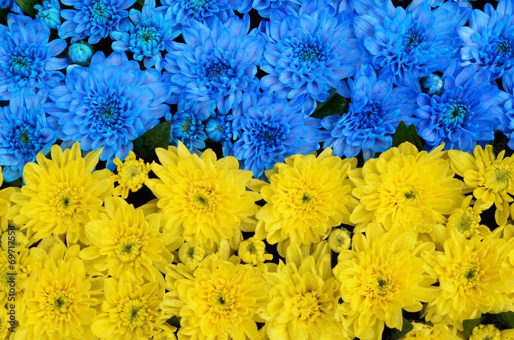 Blue and yellow stripes with colored flowers close-up (flag of U