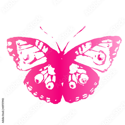 butterflies design
