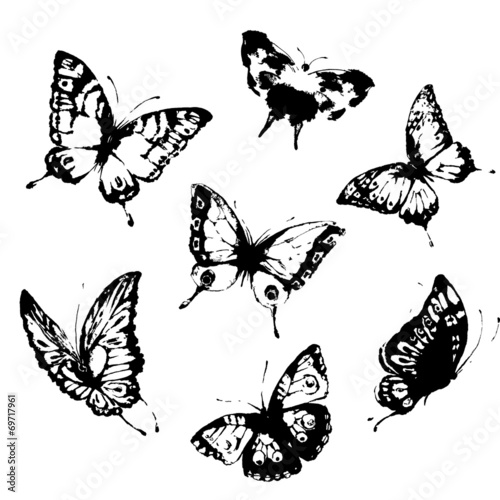 butterflies design