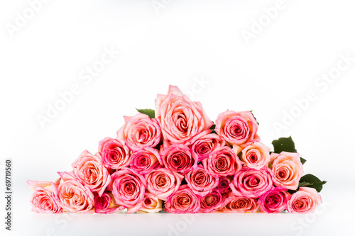 group of rose isolated on white background