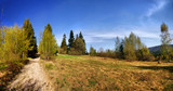 Panorama szlaku na Wielką Raczę, Beskid Żywiecki