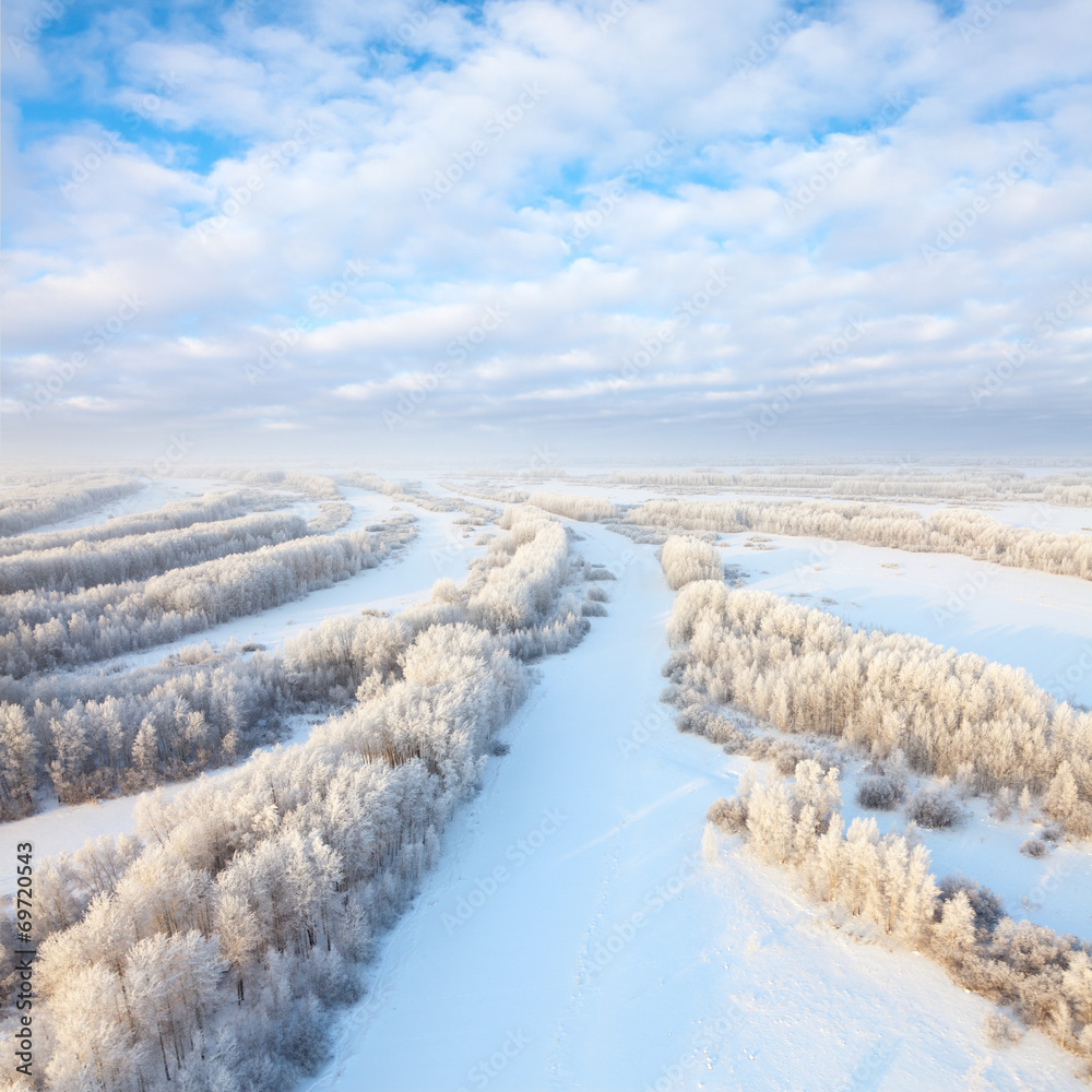 Forest in hoarfrost, top view