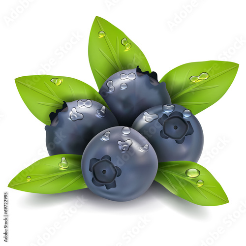Bilberry
