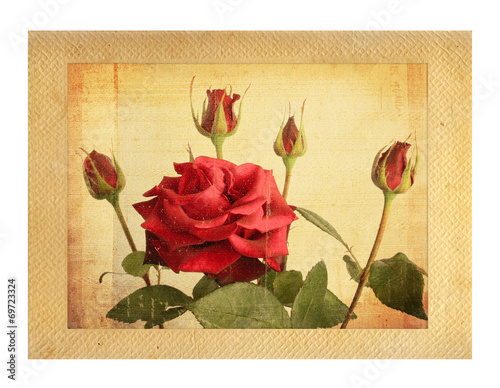 Old vintage card with a bouquet of beautiful pink roses on white photo