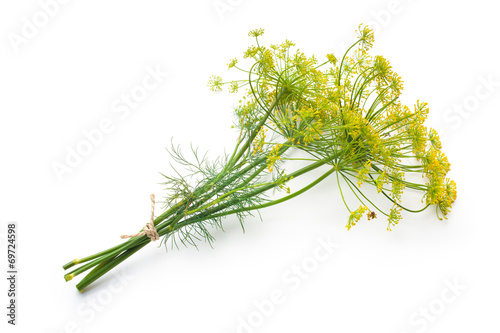 Canvastavla Dill isolated on white