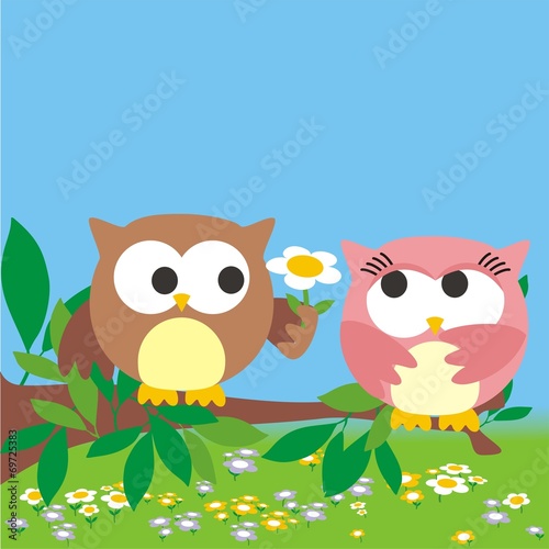 pareja de buhos en primavera