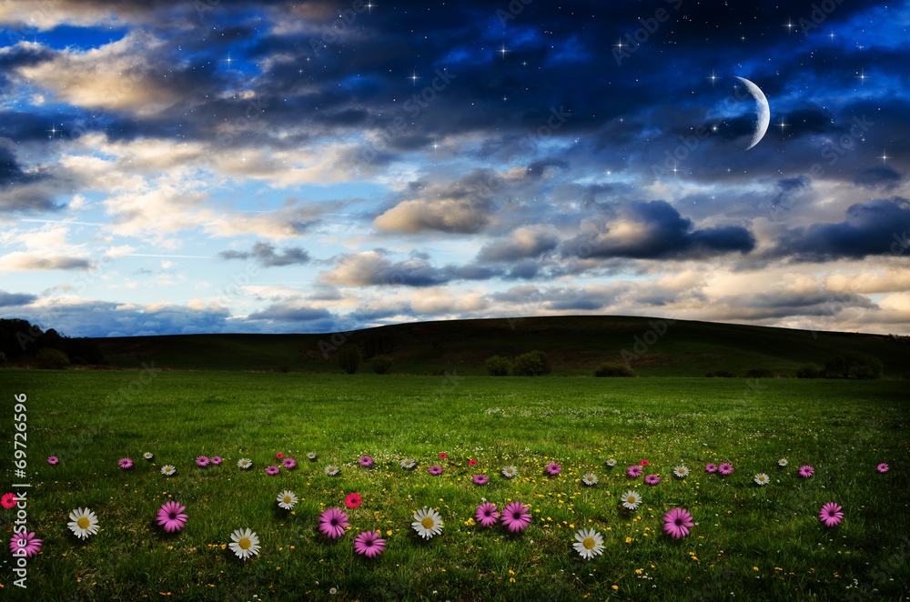 Fototapeta premium Flower field in the night.