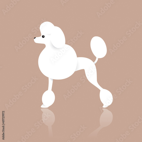 Standard poodle dog design on color background.