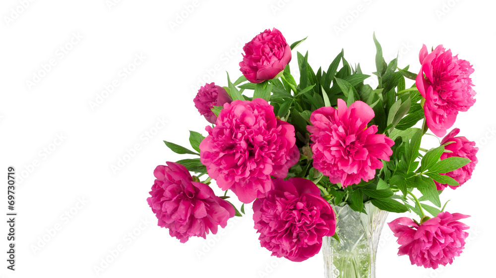 Beautiful bouquet of pink peonies on a white background isolated Beautiful bouquet of pink peonies on a white background isolated