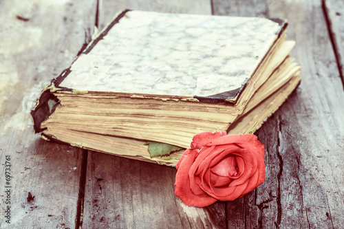vintage book and rose