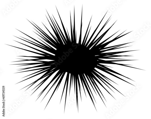 Seeigel