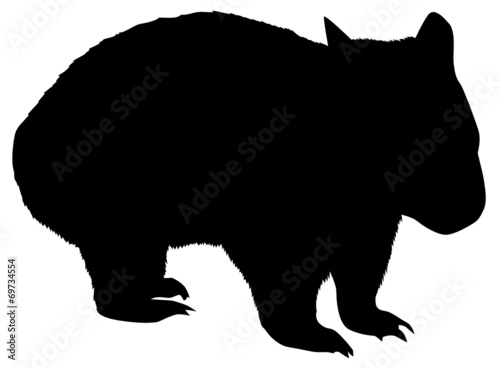 Wombat photo