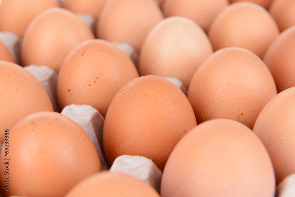 Eggs in paper tray close-up Eggs in paper tray close-up