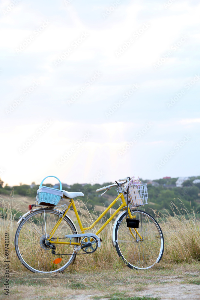 Bicycle in meadow during sunset