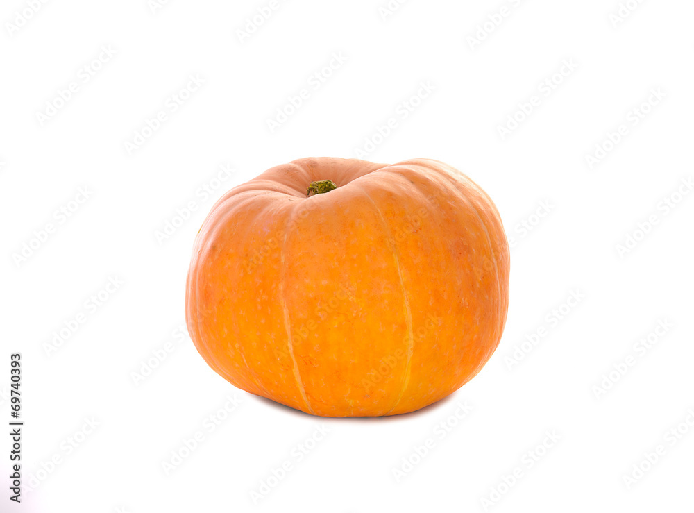 Obraz premium ripe orange pumpkin on white background