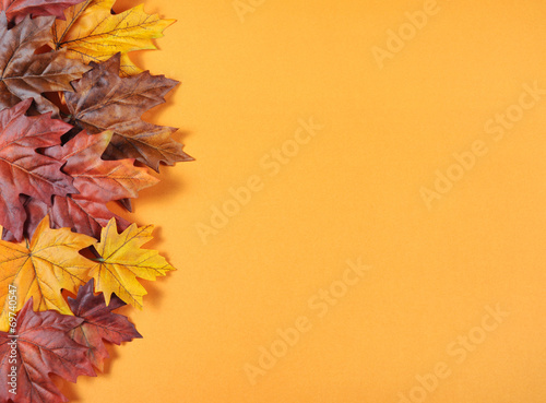 Autumn Leaves on modern trend orange background