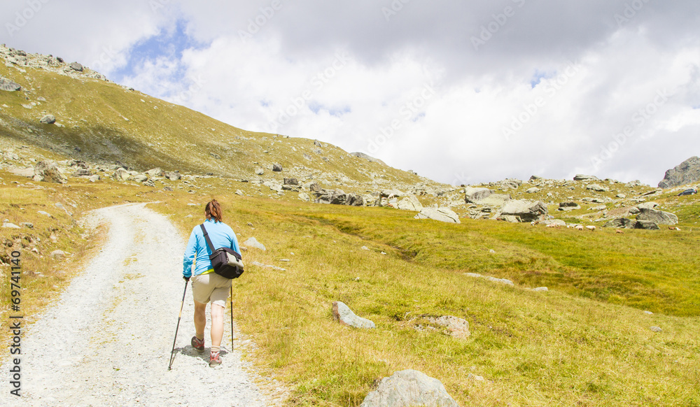 Fototapeta premium excursion under the Grand Tournalin,Val D'Aosta