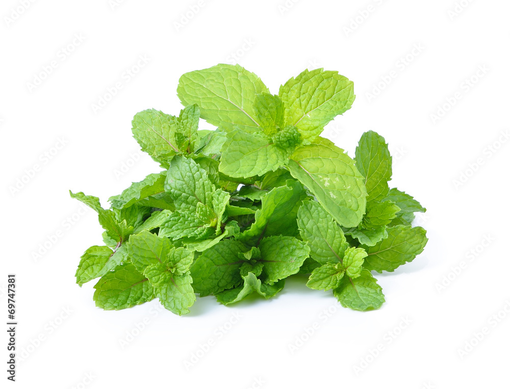mint leaves isolated on white background mint leaves isolated on white background