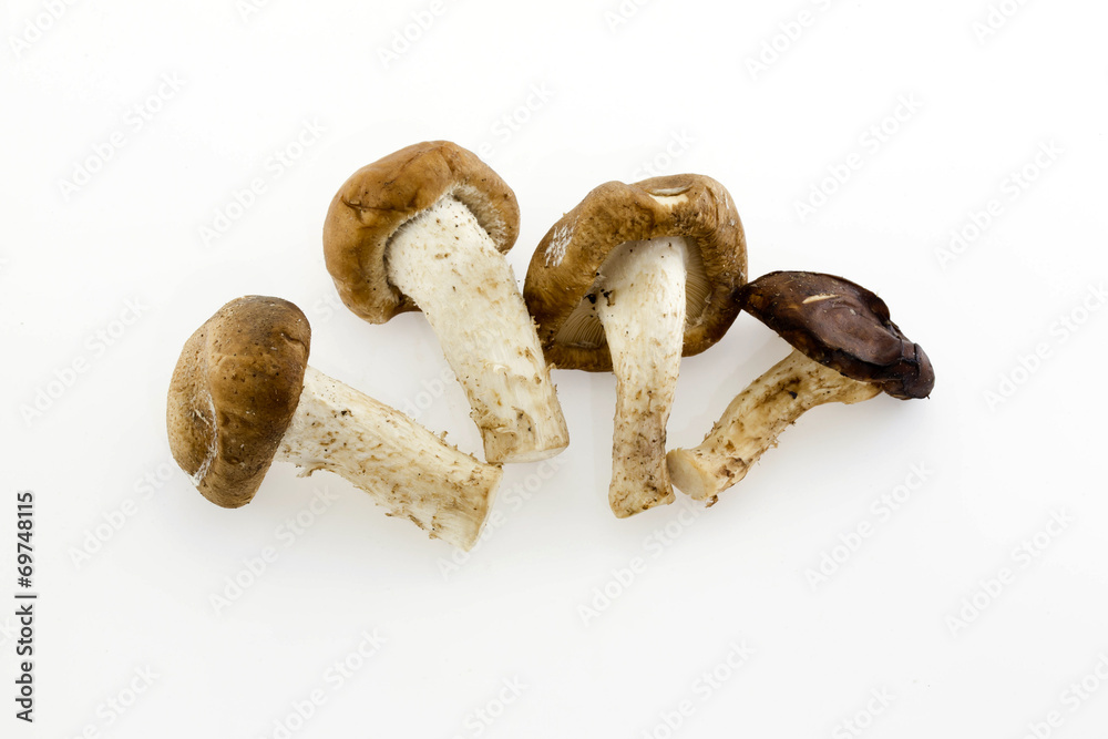 Dried Chinese mushroom on the White background Dried Chinese mushroom on the White background