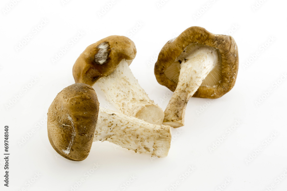 Dried Chinese mushroom on the White background Dried Chinese mushroom on the White background