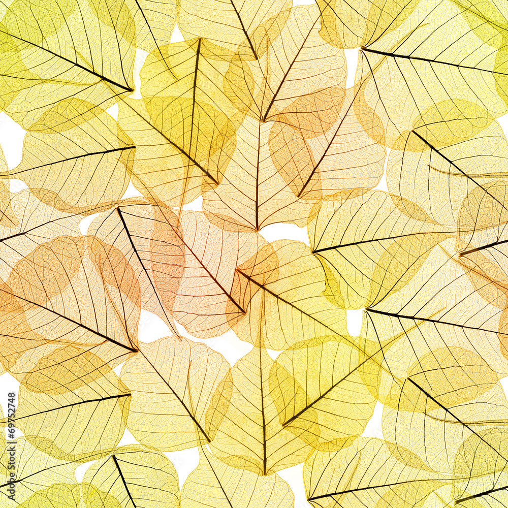 Seamless Background - Autumn Leaves Pattern