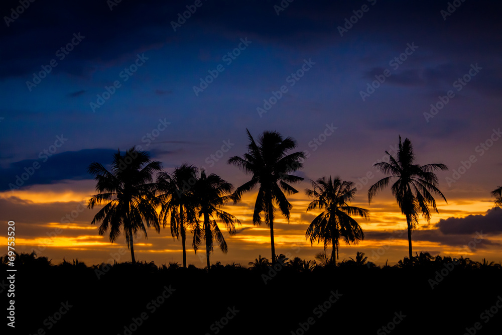 evening Landscape with Silhouette style