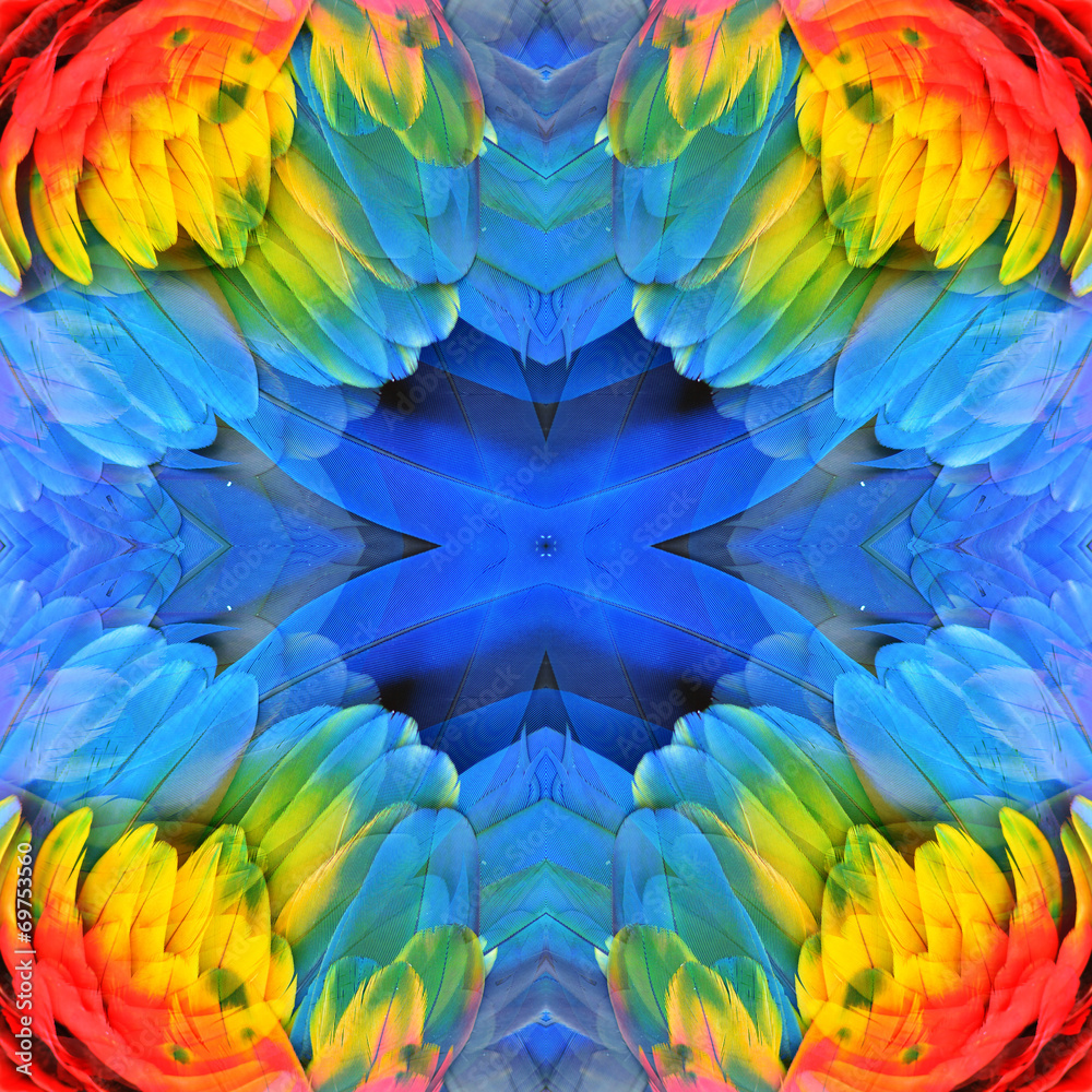 Macaw feathers