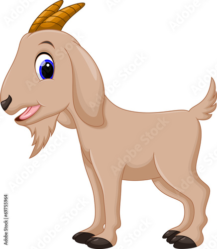 Cute goat cartoon