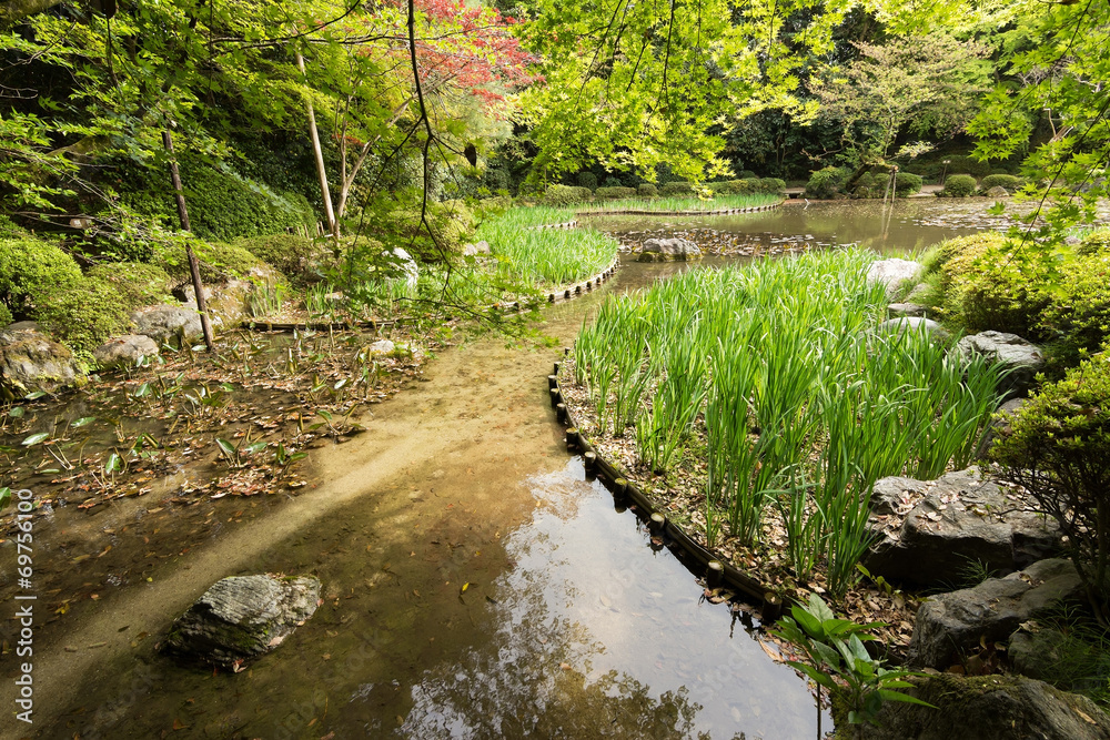 The scenery of green grass gardening in the pond. The scenery of green grass gardening in the pond.