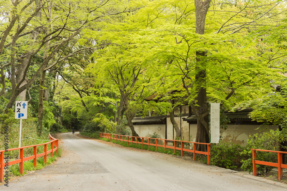 boulevard near Shimogamo Shrine boulevard near Shimogamo Shrine