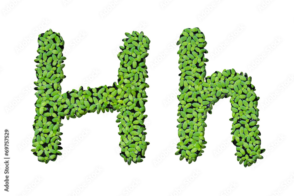 Duckweed alphabet letters Duckweed alphabet letters