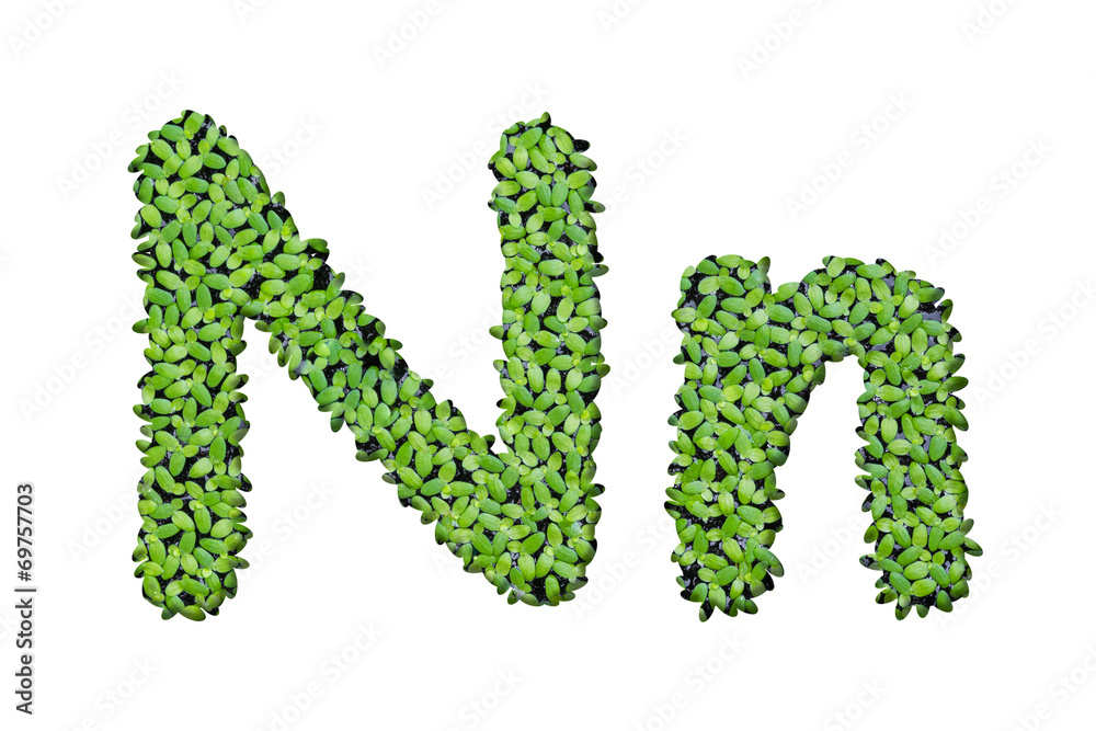 Duckweed alphabet letters Duckweed alphabet letters