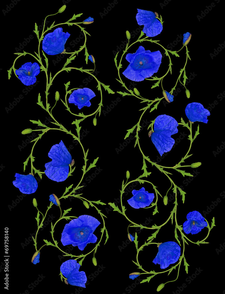 Fototapeta premium blue poppy flower ornament strips isolated on black
