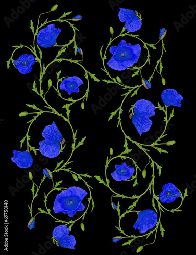 blue poppy flower ornament strips isolated on black