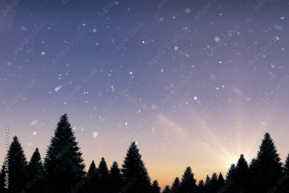 Snow falling on fir tree forest Snow falling on fir tree forest