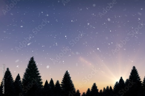 Snow falling on fir tree forest