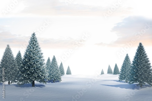 Snowy landscape with fir trees © WavebreakmediaMicro
