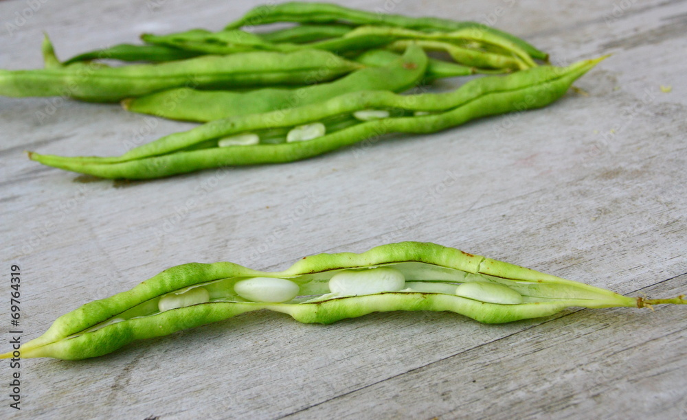 gousses de haricots sec et ses graines gousses de haricots sec et ses graines