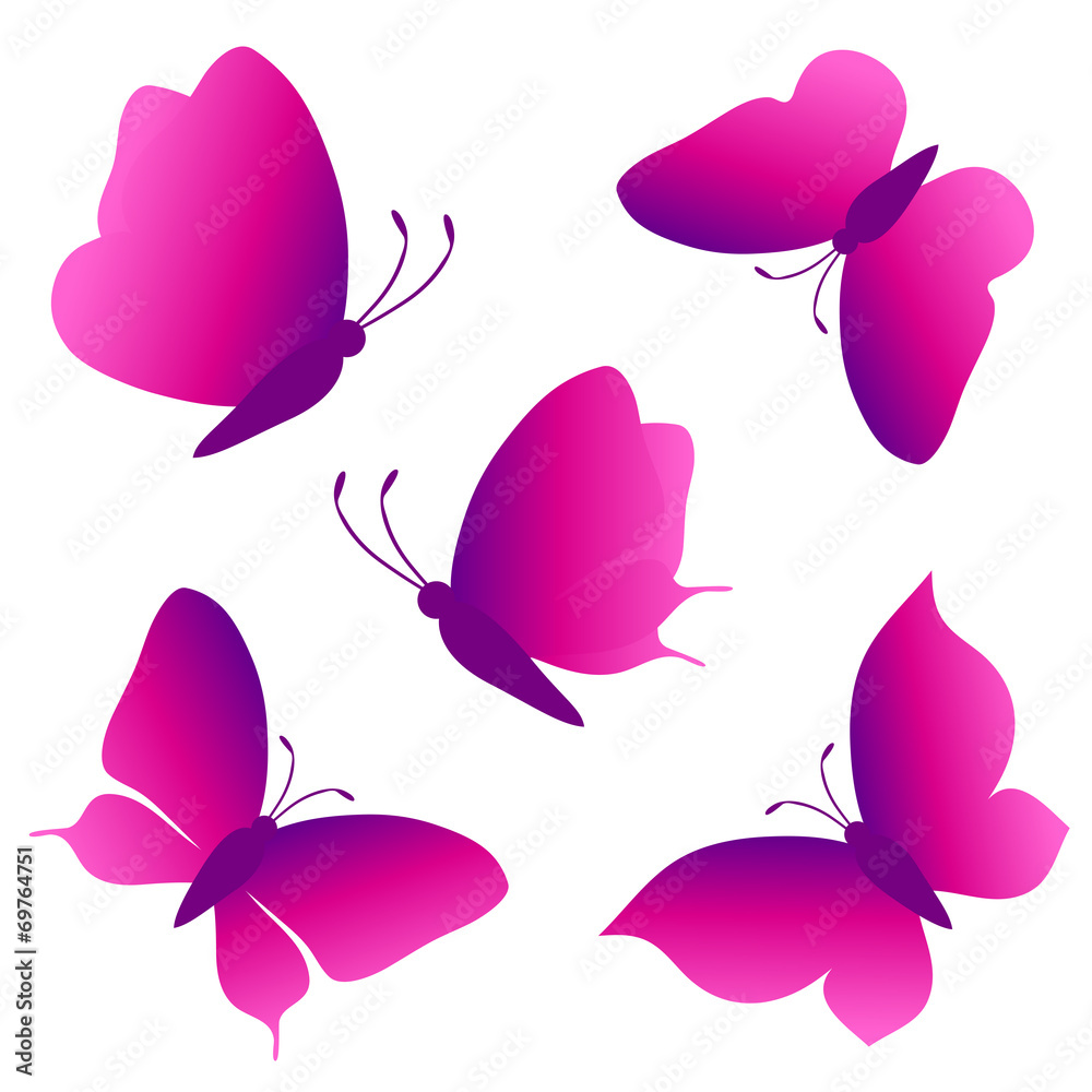 butterflies design