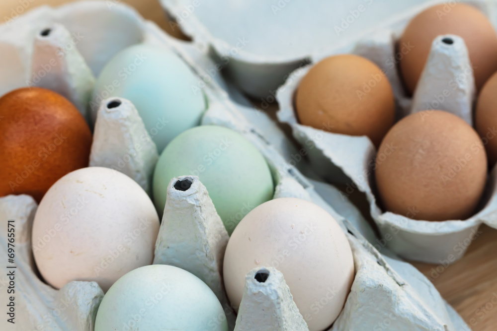 Fototapeta premium araucana and guineafowl egg still life