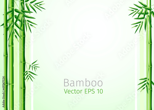 Fototapeta Naklejka Na Ścianę i Meble -  vector illustration  bunch of bamboo leaves background
